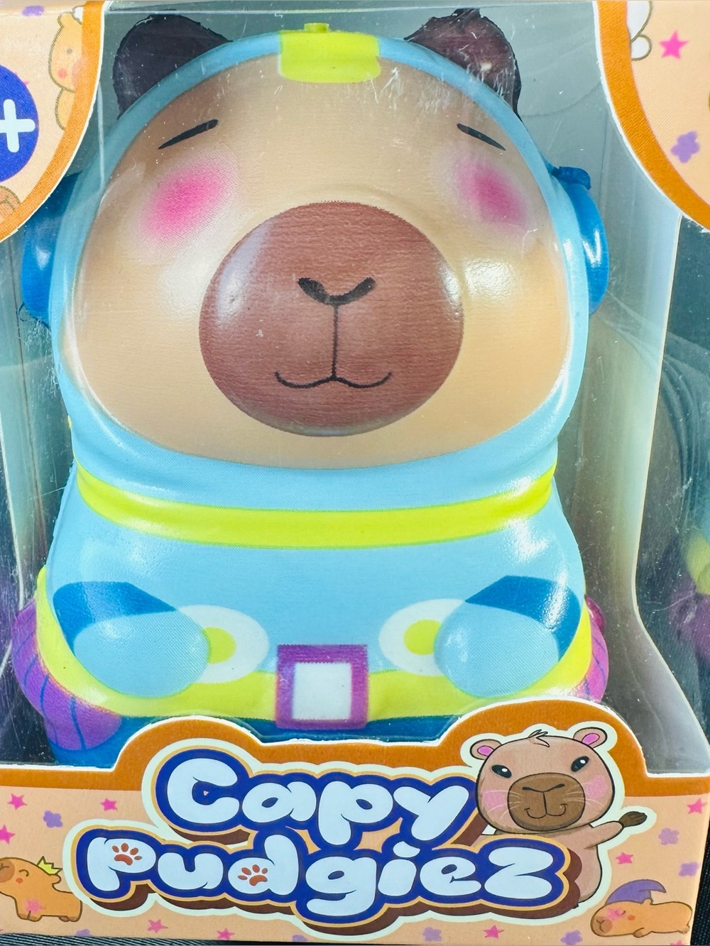 Blue Capybara Kids Toy